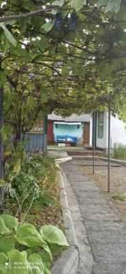 Продам дом в Собичево