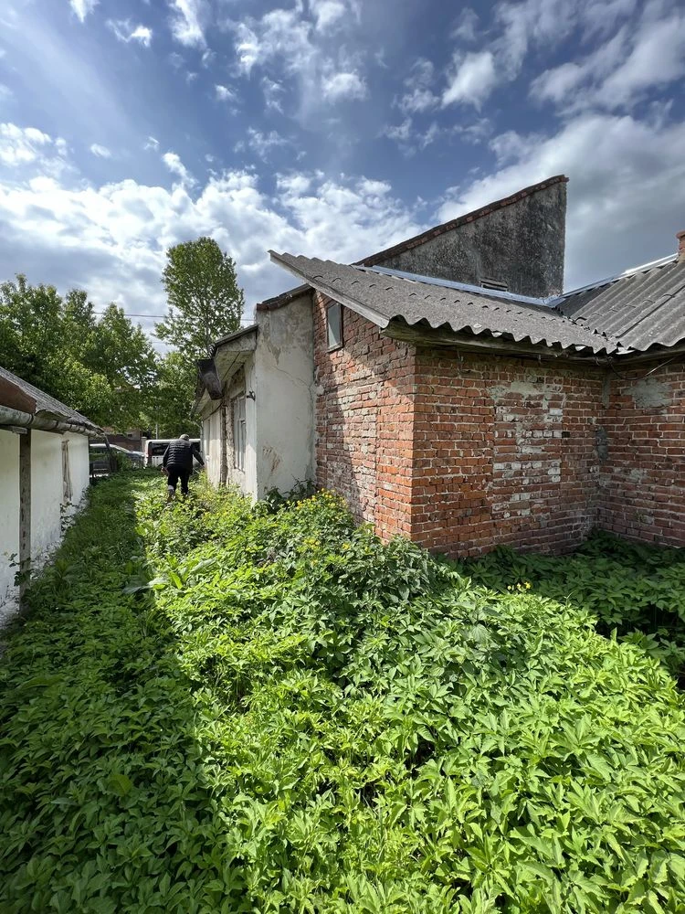 Житловий будинок  м.Бережани
