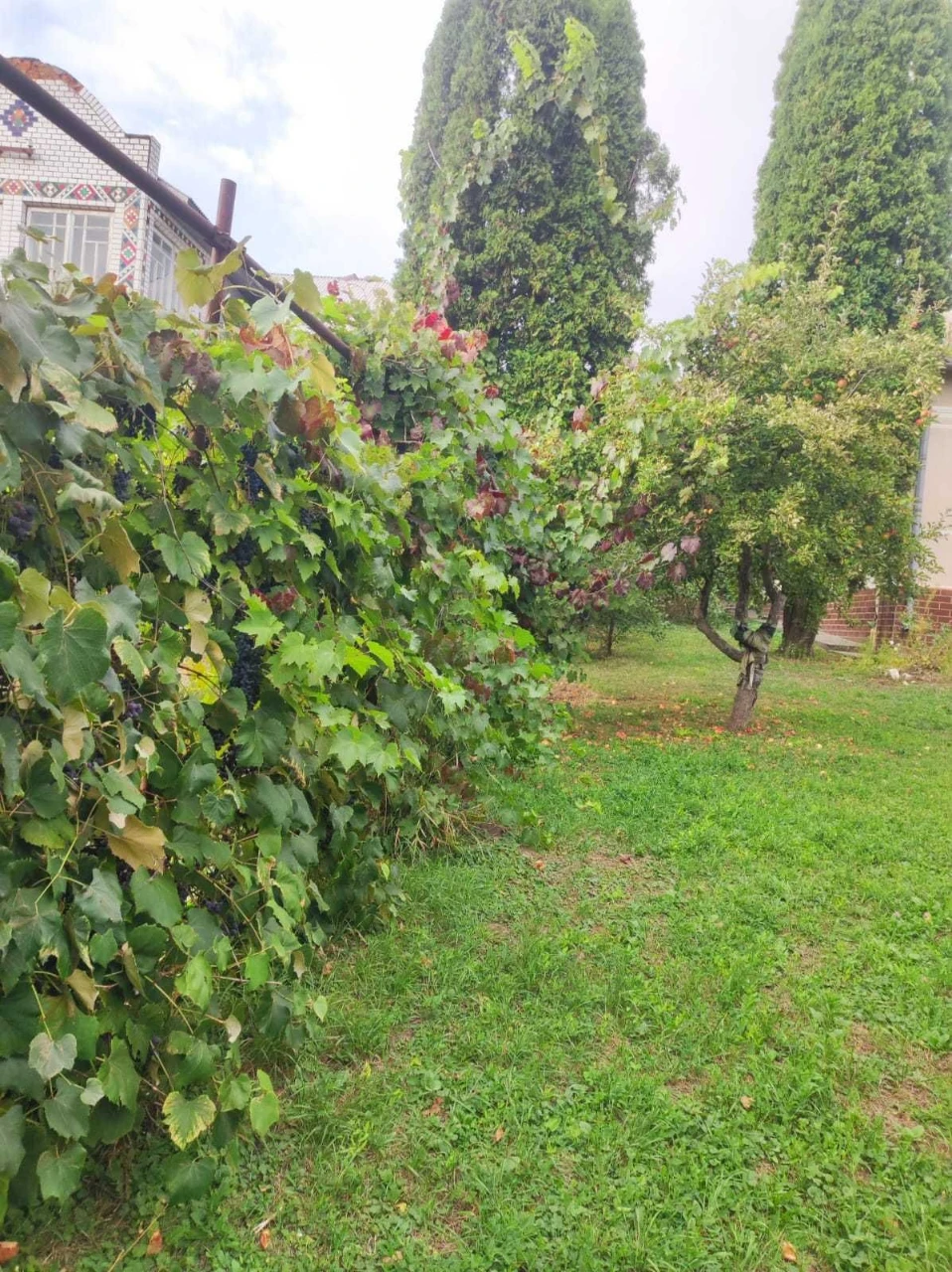 Продаж будинку в Борщові