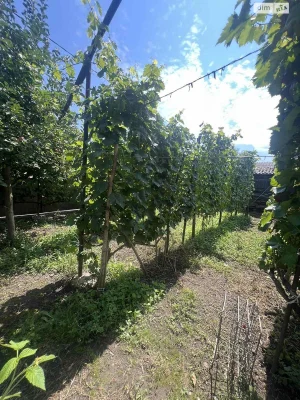 Продаж Дім