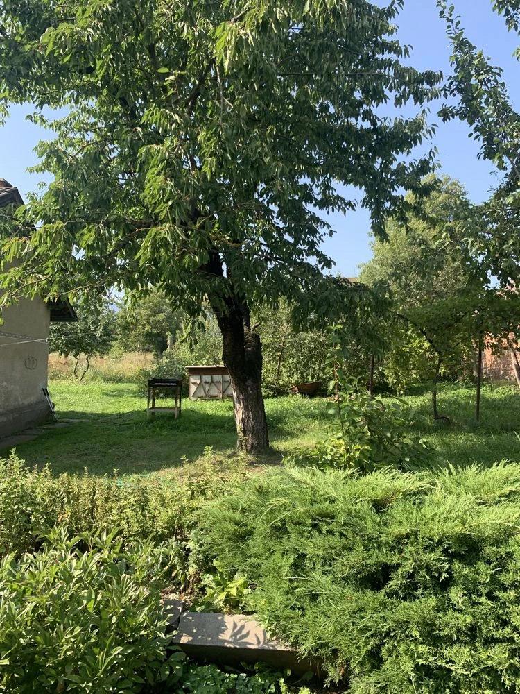 Продам будинок +велика земельна ділянка .місто Бучач