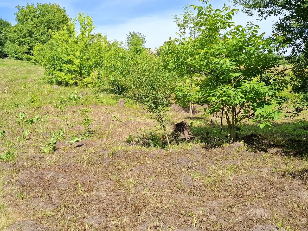 Продаж будинку 79.4 м² 33 сот.