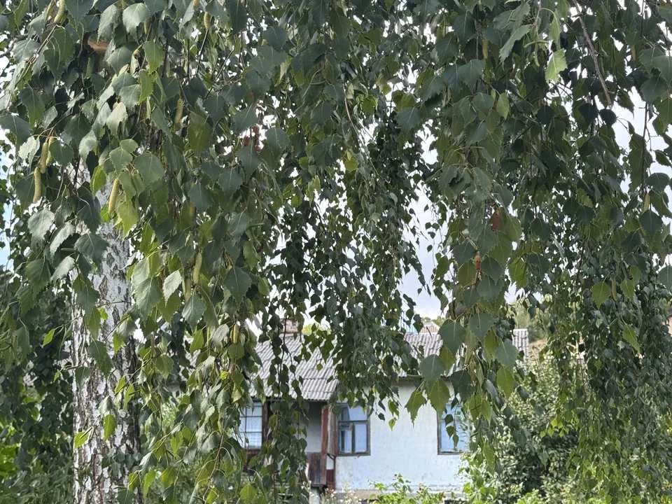 Будинок. Кременець, Стрімкий пров.