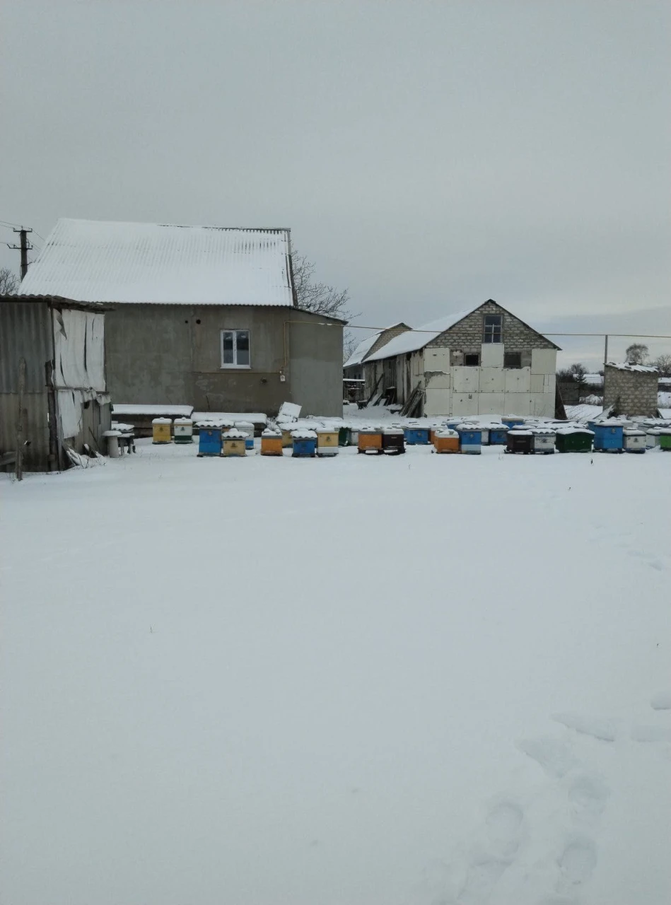 Продажа дома ( Лагеря Хенкель)