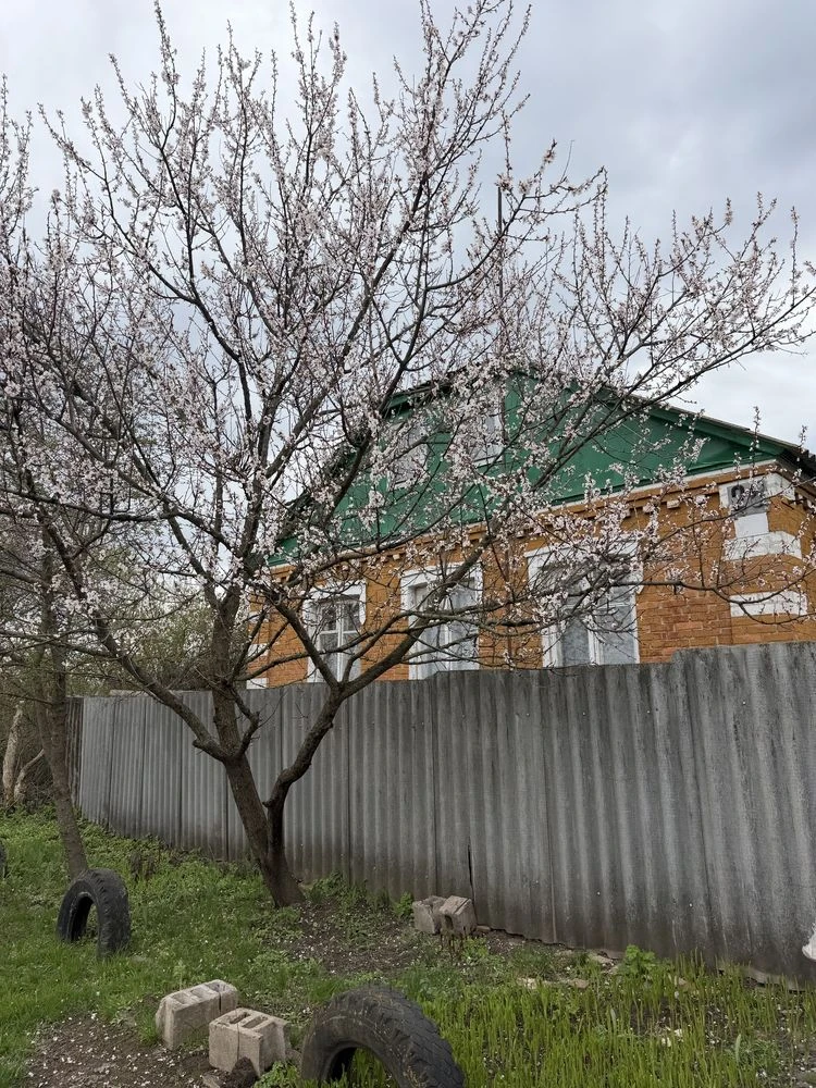 Продам будинок Валки