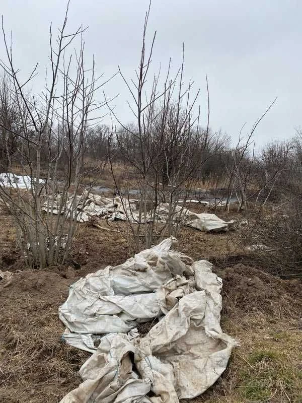 Продам будинок з меблями та технікою Богодухів (169118)