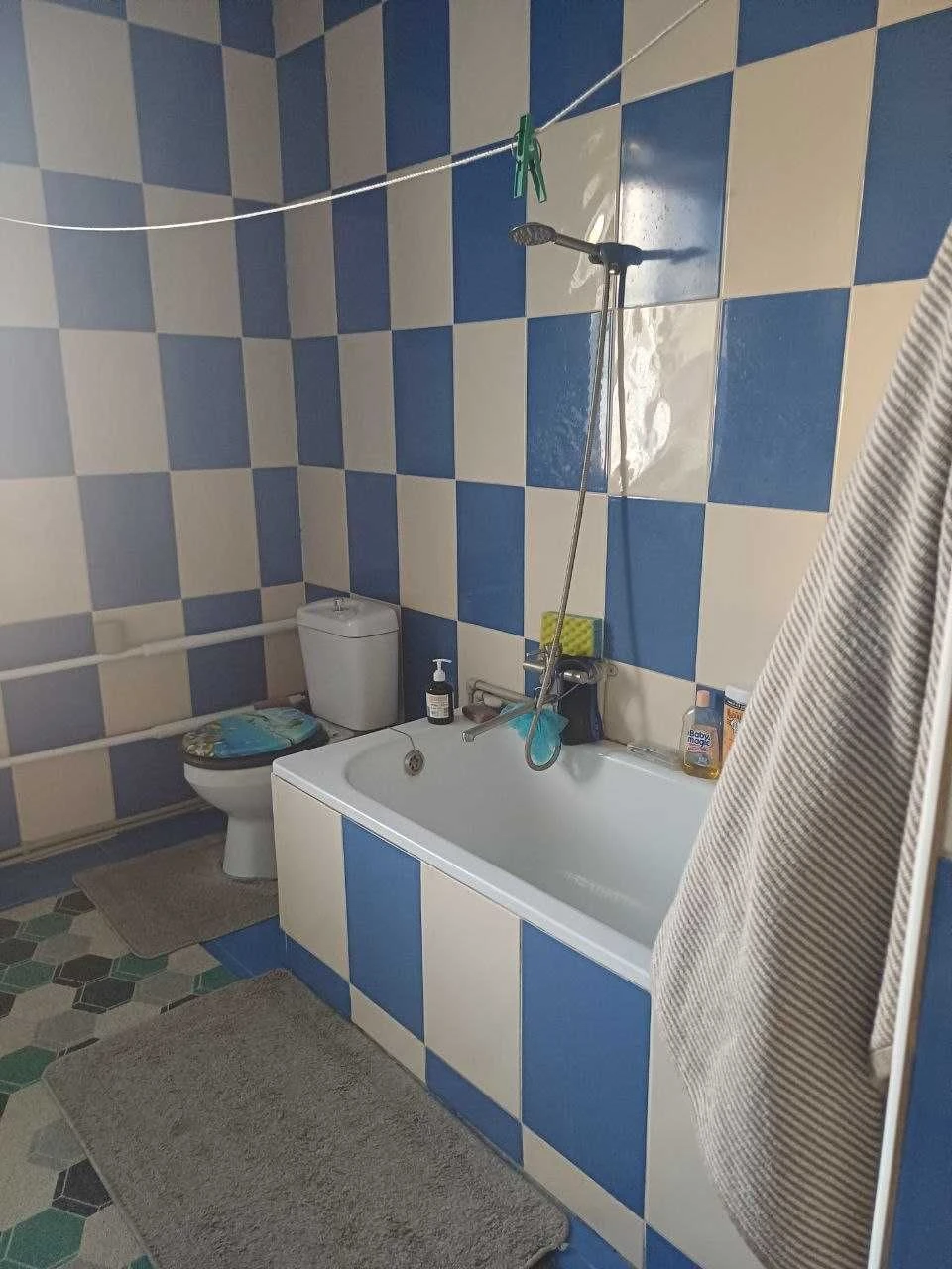 Продається затишний будинок з ремонтом в Богодухові