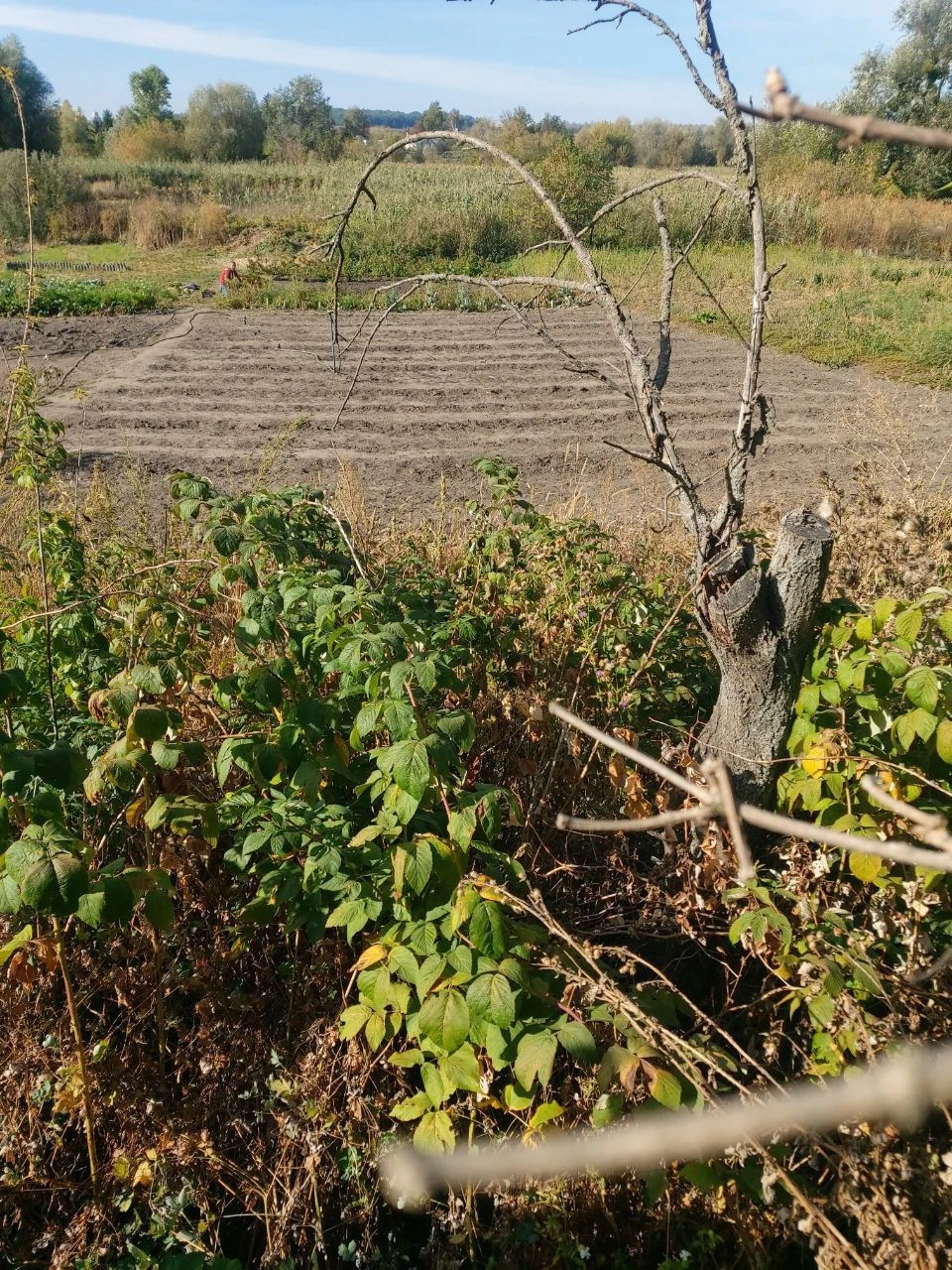 Половина будинку по вул Сумський шлях в місті Дергачі