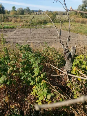 Половина будинку по вул Сумський шлях в місті Дергачі