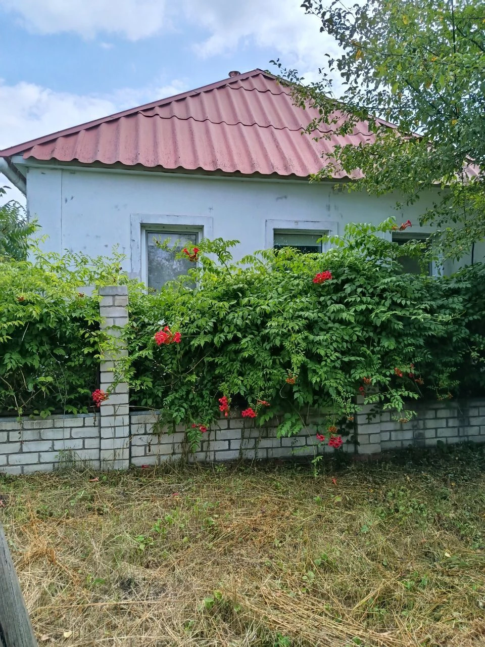 Домоволодіння з двома гаражами та господарськими приміщенням