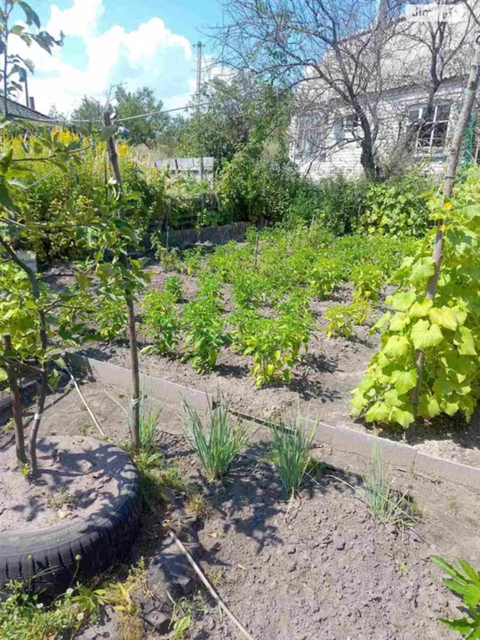 Продаж Дім