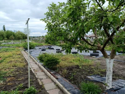 Продам будинок м.Зміїв