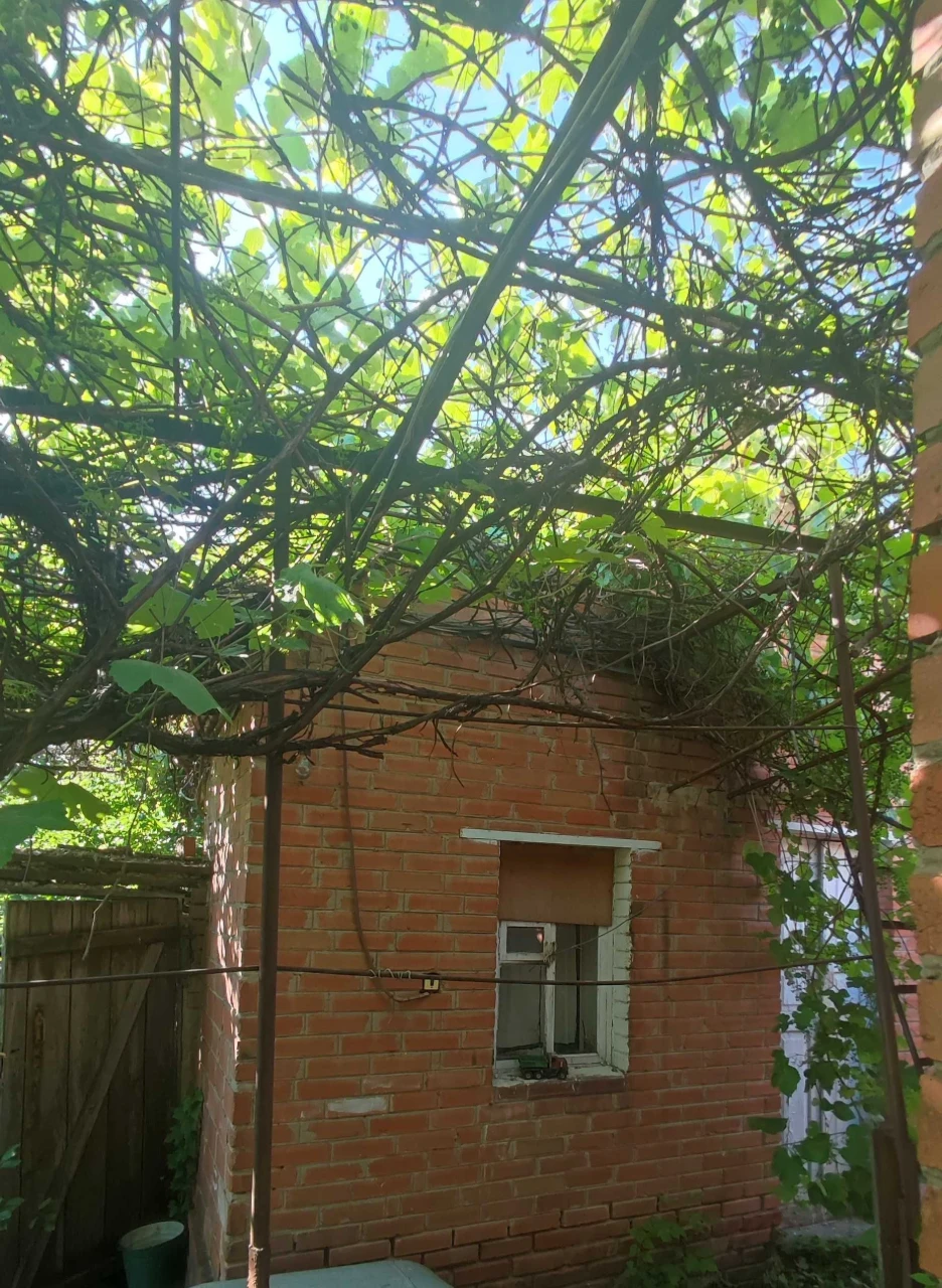 Продаётся два дома в одном дворе /Торг/Варианты оплаты/Недви