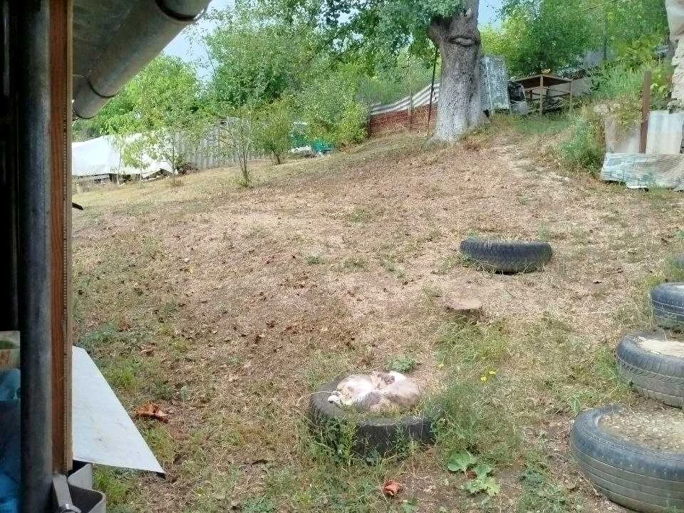 Будинок. Чугуїв, Басейна