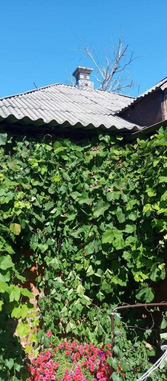 Продам дом в Малиновке