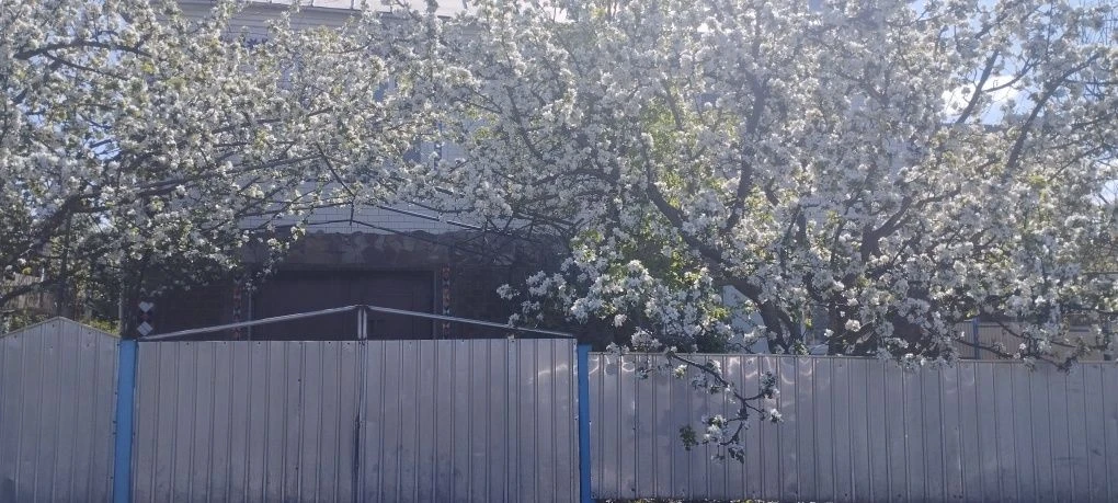 Продається будинок