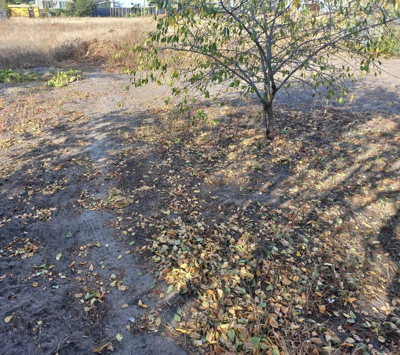 Продам дом с гаражом в Чугуеве (Башкировка)