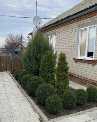 Продажа дома в Коробочкино