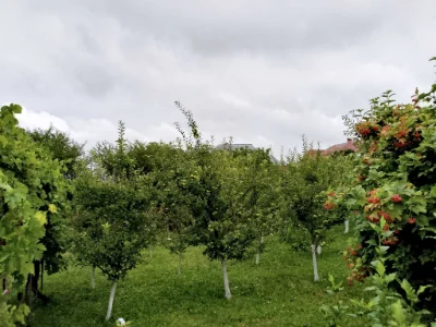 Продається будинок Мукша китайгородська