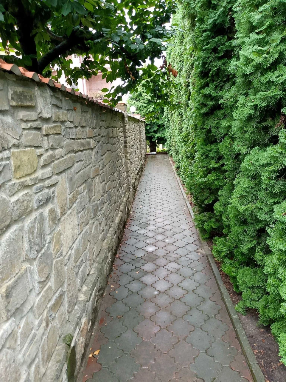 Продається будинок Мукша китайгородська