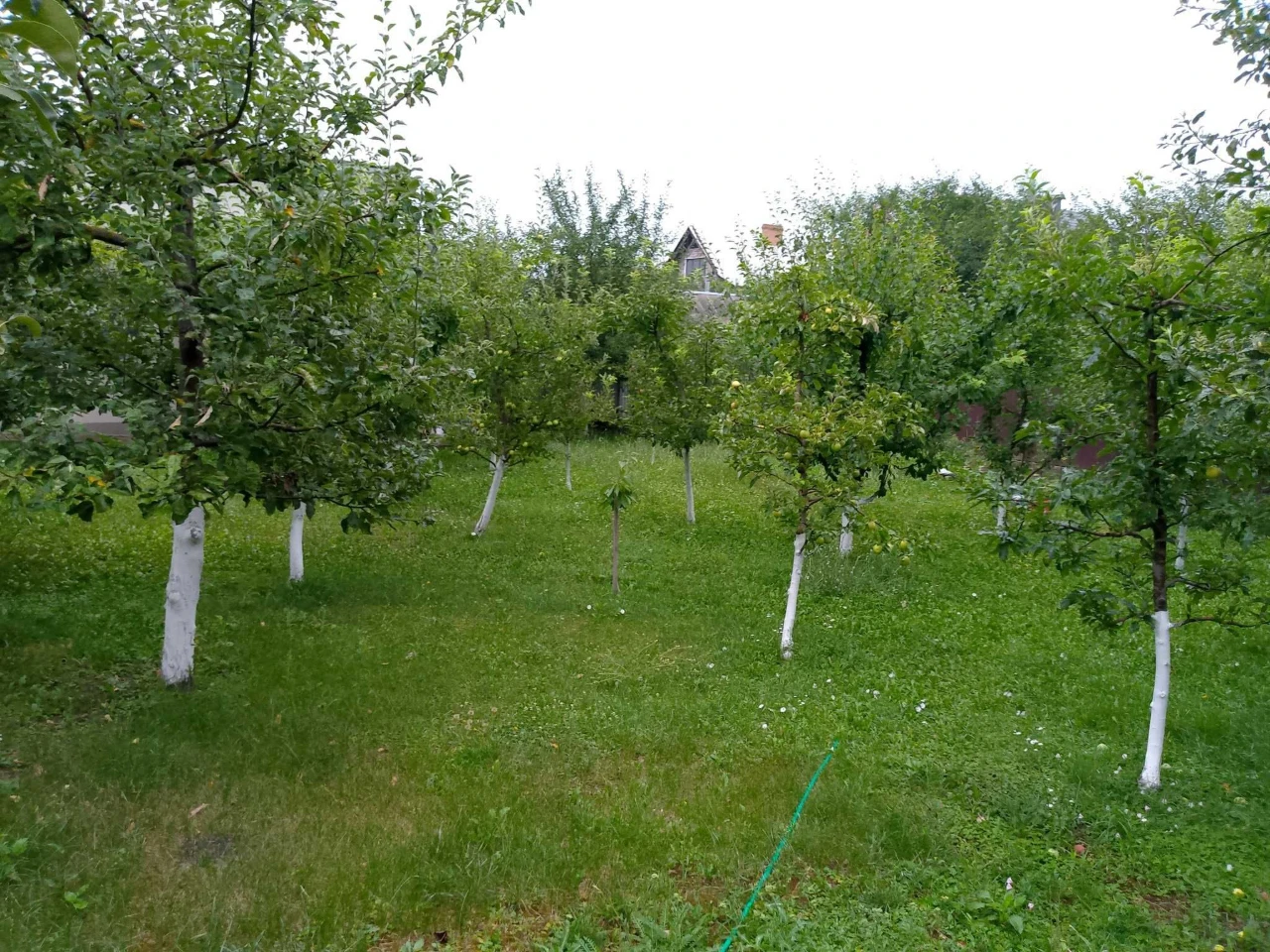 Продається будинок Мукша китайгородська