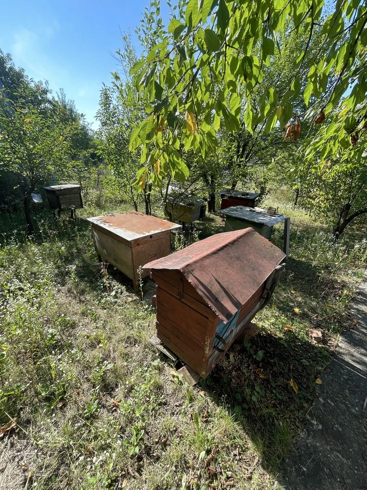 Продам дачу біля р.Дністер