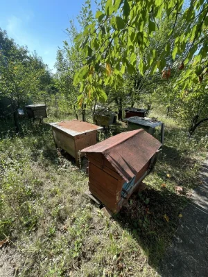 Продам дачу біля р.Дністер