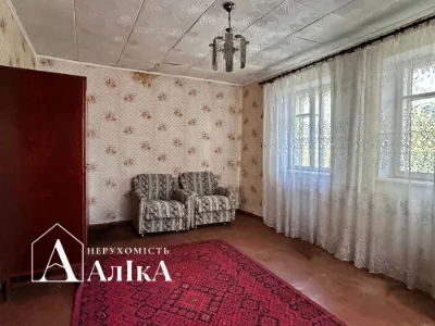 Продам будинок на великій ділянці