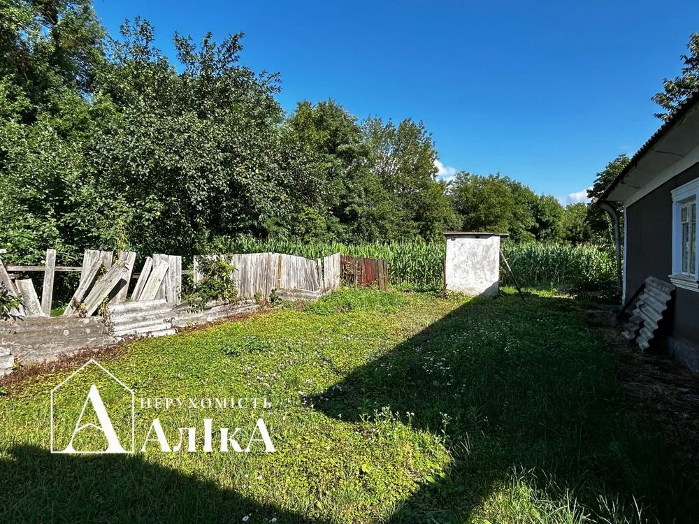 Продам будинок на великій ділянці