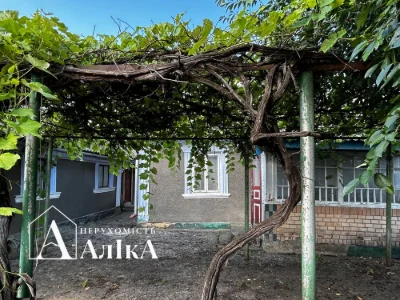 Продам будинок на великій ділянці