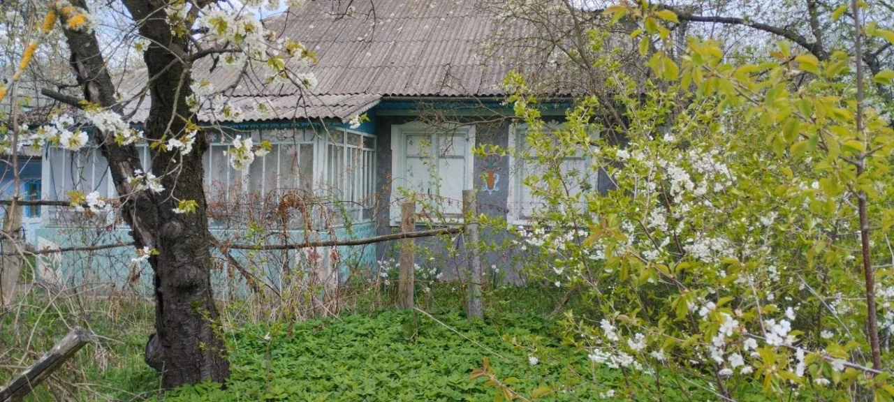 Продається будинок біля Бакоти