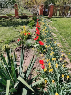Продається будинок