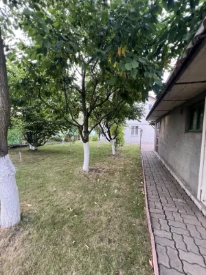 Продаж великого будинку з гарним ремонтом
