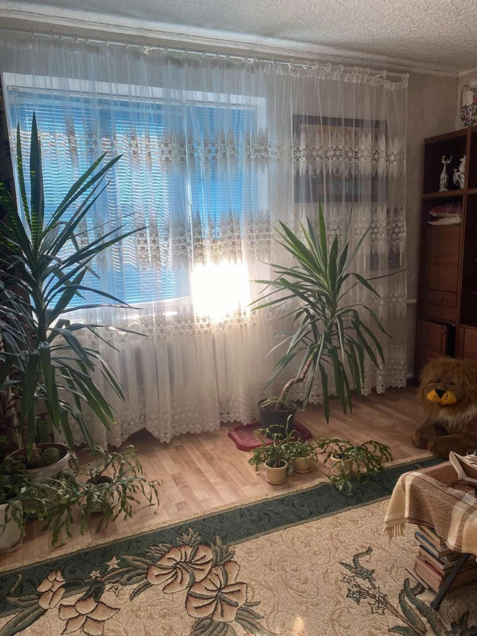 Продам будинок по вул. Бандери 67(Рибалко)