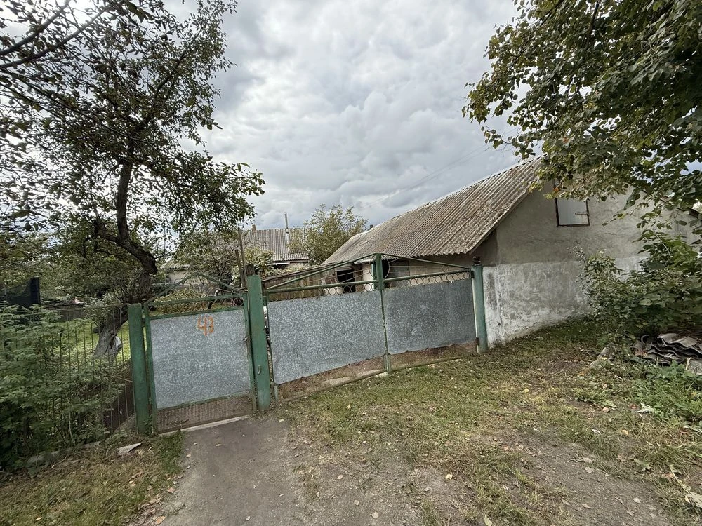 Будинок в Полонному
