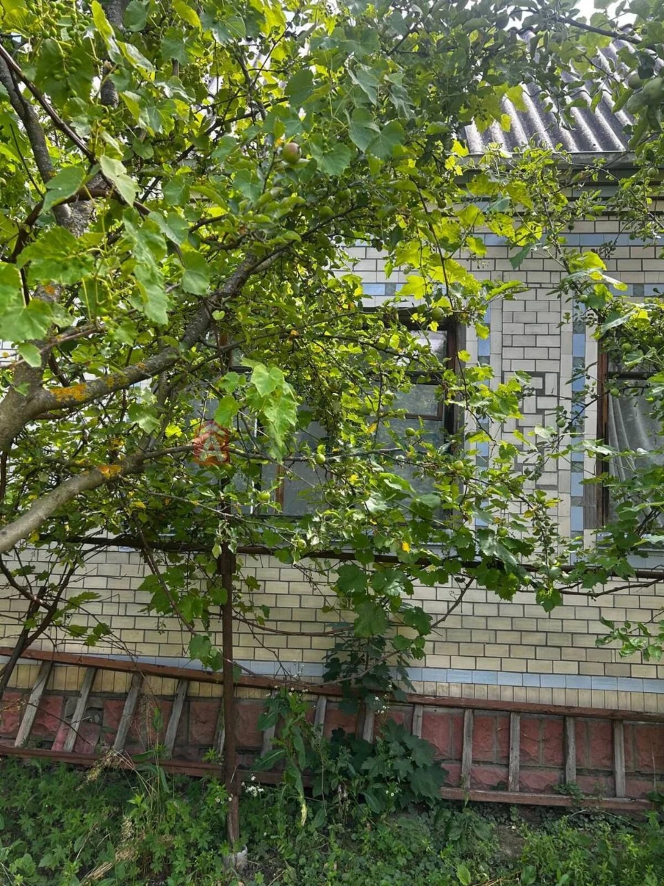 Терміновй продаж будинку в м.Красилів