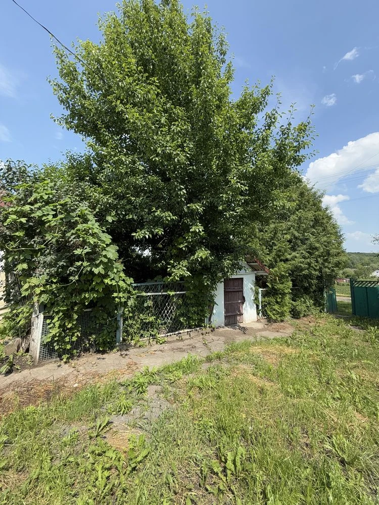 Будинок з ділянкою в селі Попівці