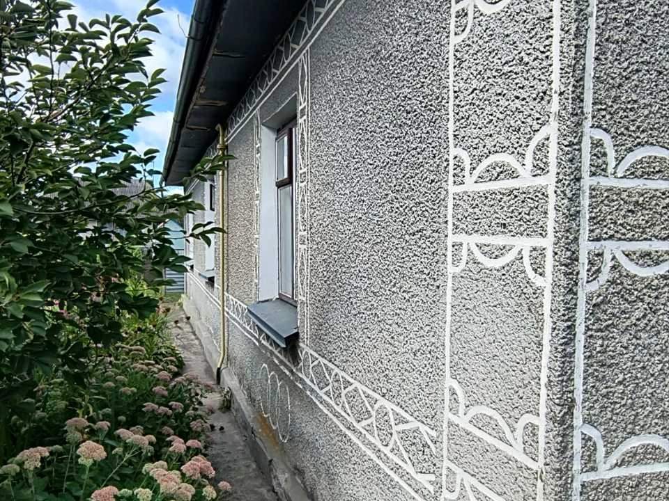 Будинок. Старокостянтинів, Голоти