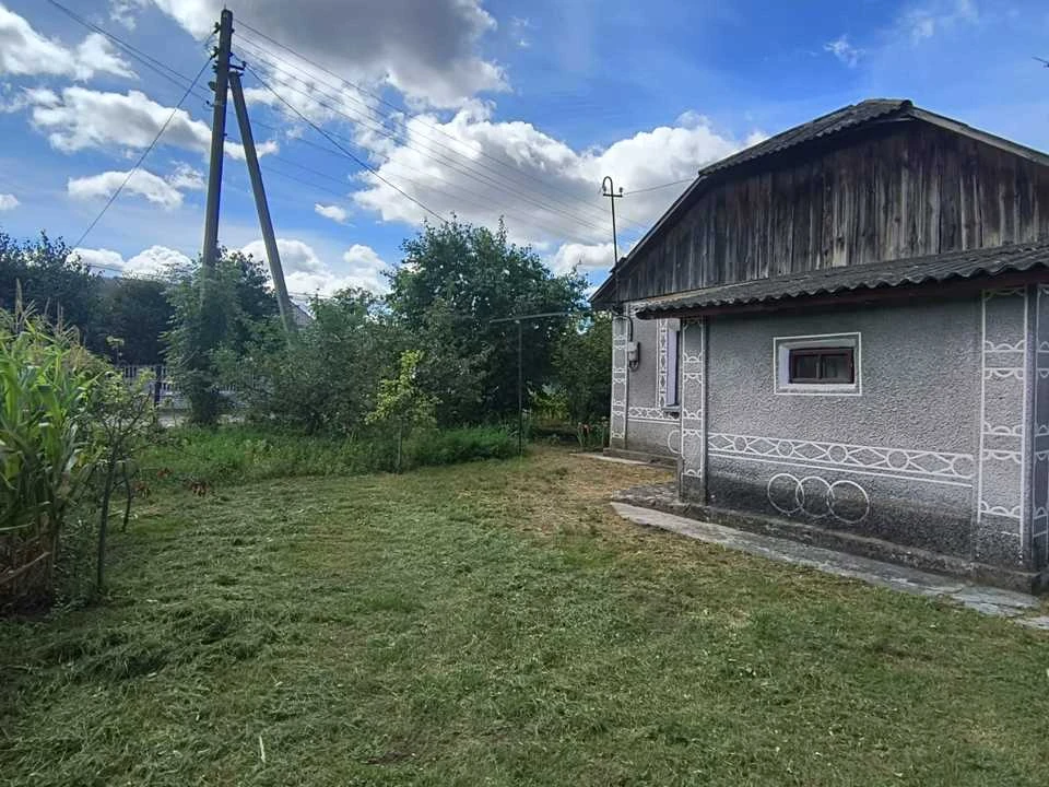 Будинок. Старокостянтинів, Голоти