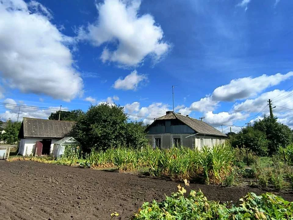 Будинок. Старокостянтинів, Голоти