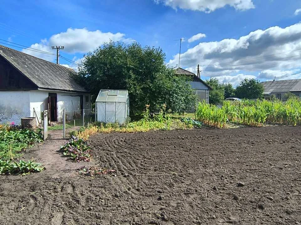 Будинок. Старокостянтинів, Голоти