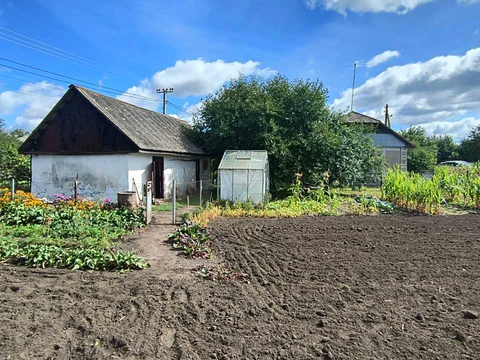 Будинок. Старокостянтинів, Голоти