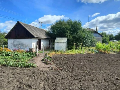 Будинок. Старокостянтинів, Голоти