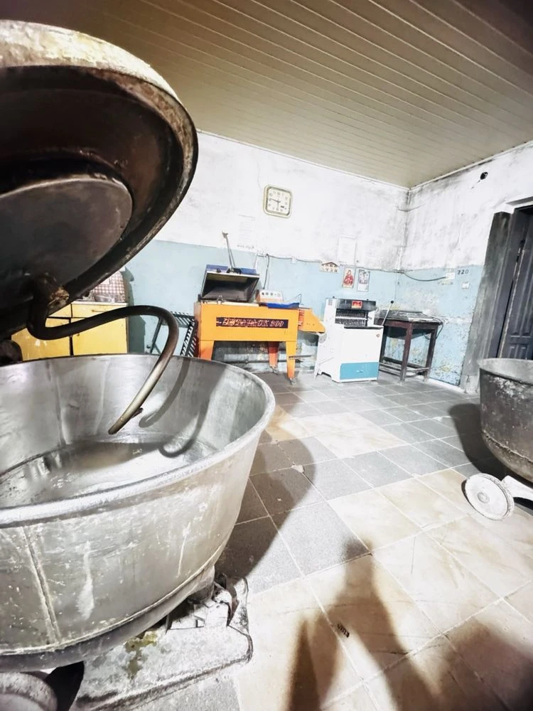 Продається будинок  з вбудованою пекарнею площею 147м2 в м.Г