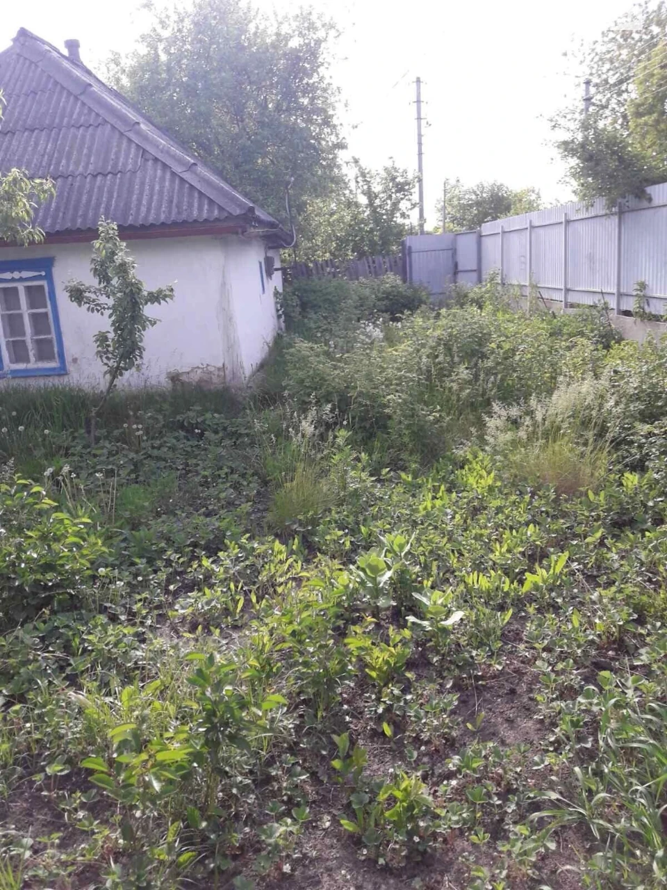 Продаж Дім