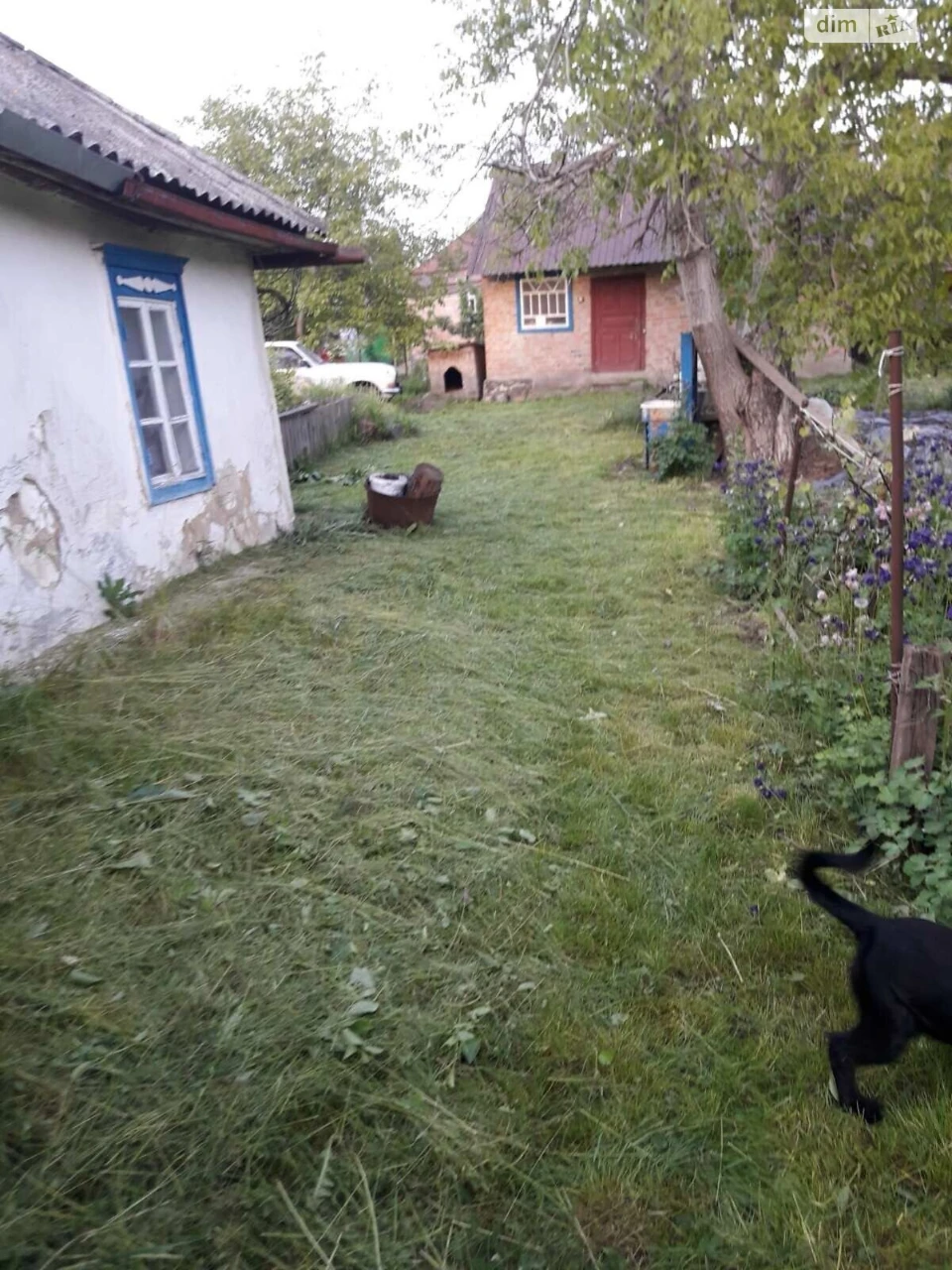 Продаж Дім