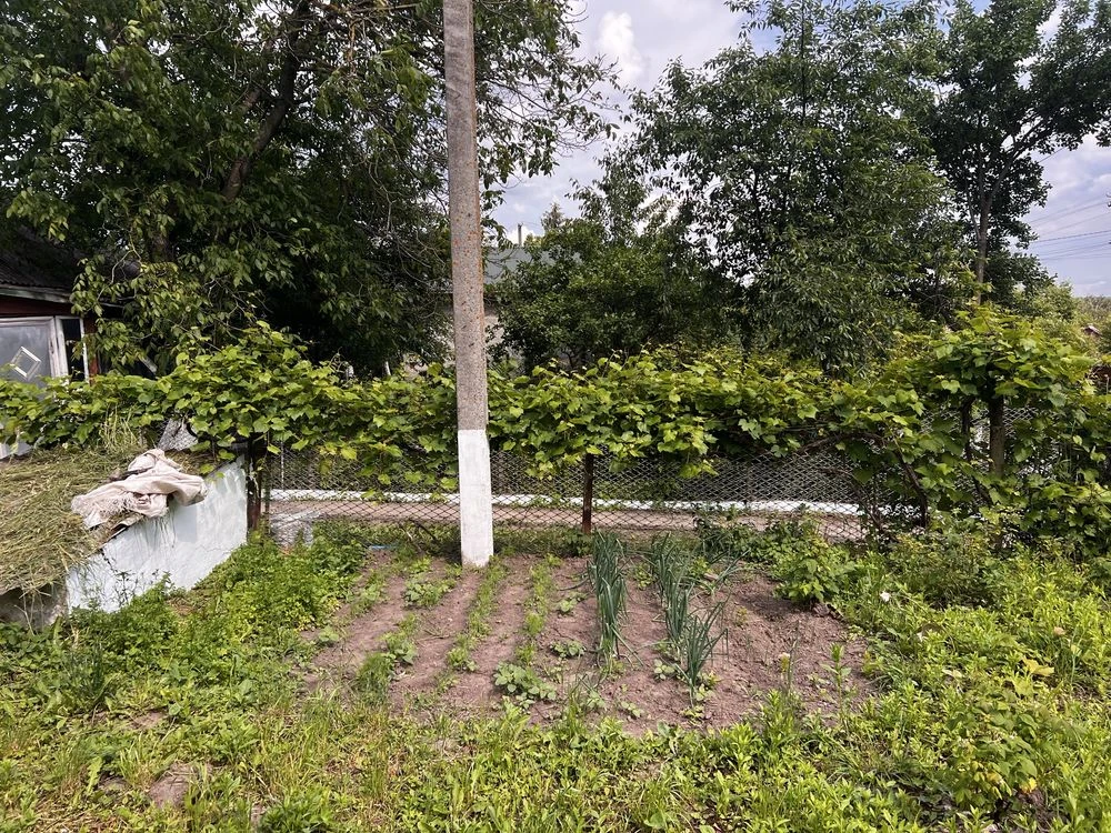 Продам хату у селі Городище з дуже хорошою тиреторією