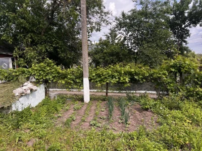 Продам хату у селі Городище з дуже хорошою тиреторією
