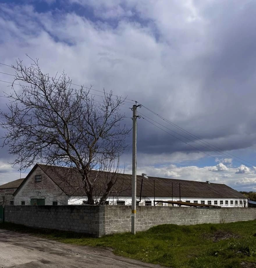 Нерухомість , ферма