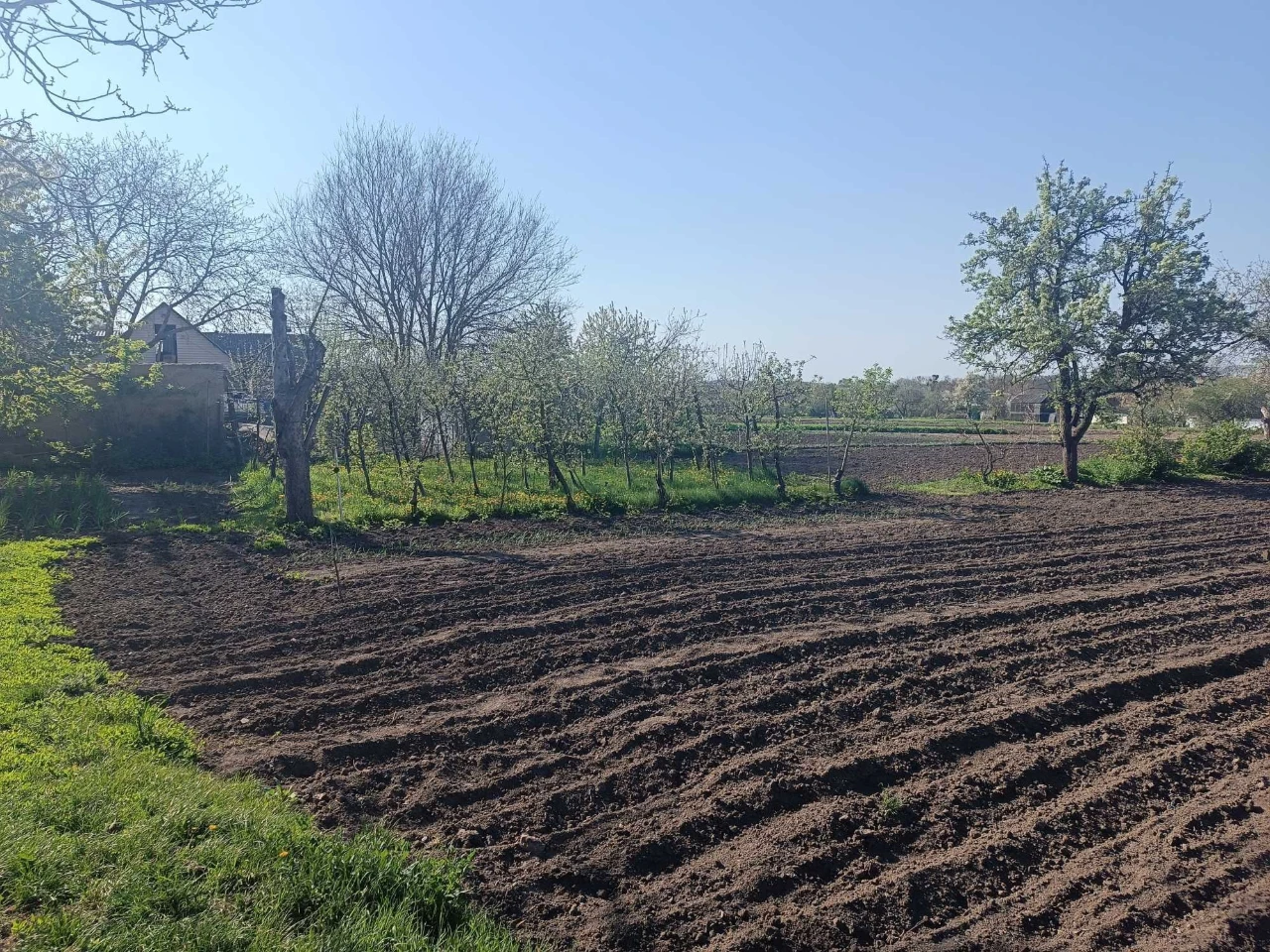 Продається будинок в с. Лозуватка, Звенигородського району